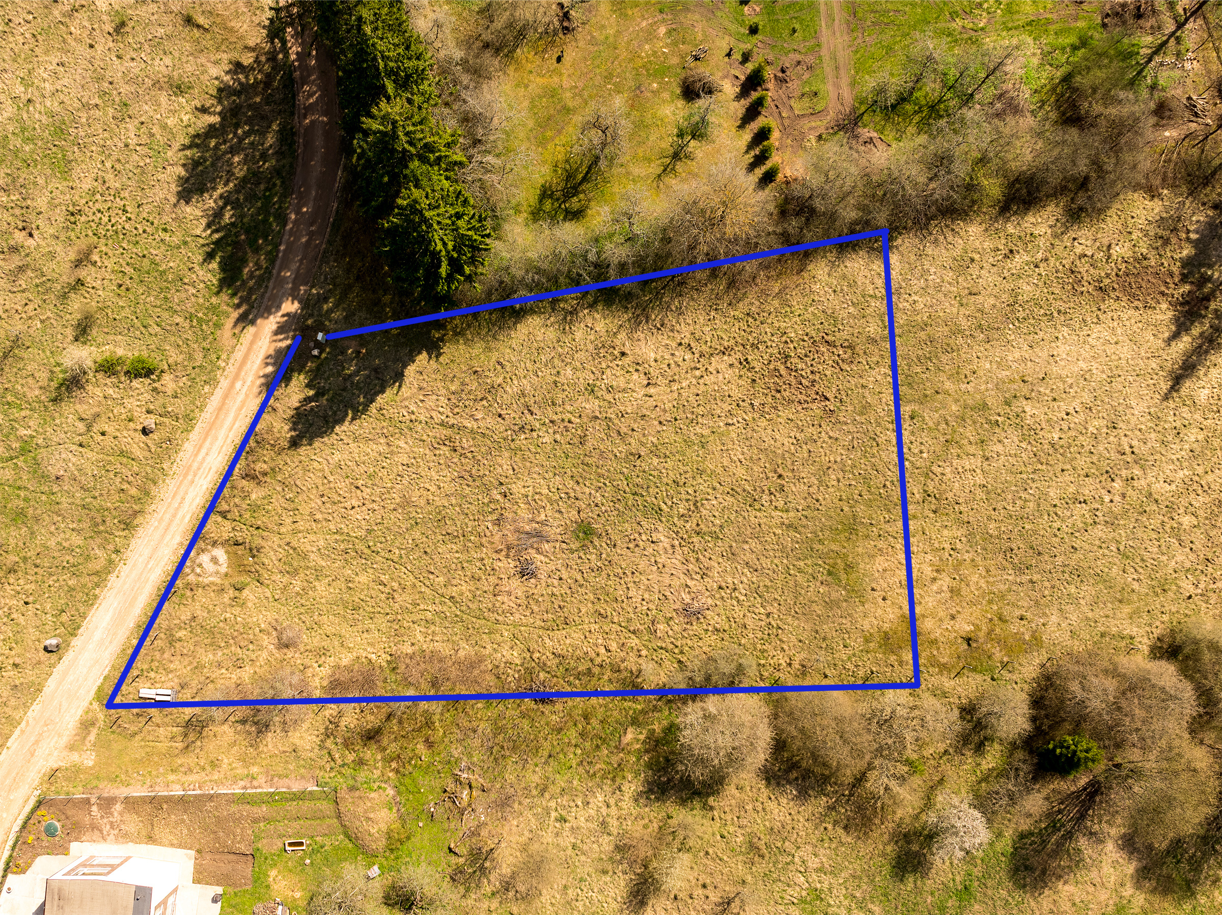 Gaigalines_14 copy.jpg